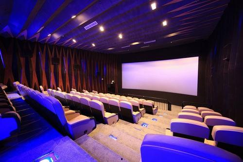 为啥叫24楼影院,名字背后的故事与魅力